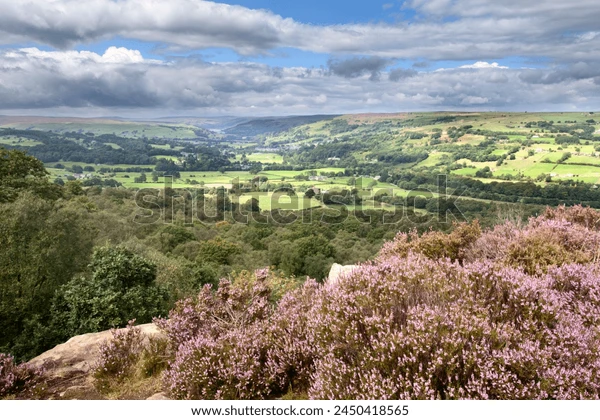 heather on cliff